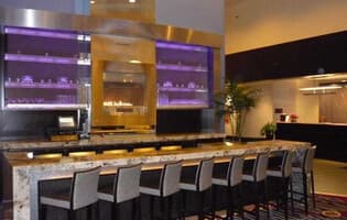 Doubletree Hotel Chicago Magnificent Mile