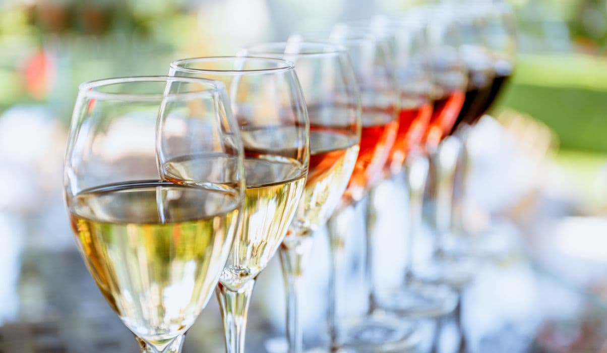 Taste Albanian Wines and Mediterranean dishes