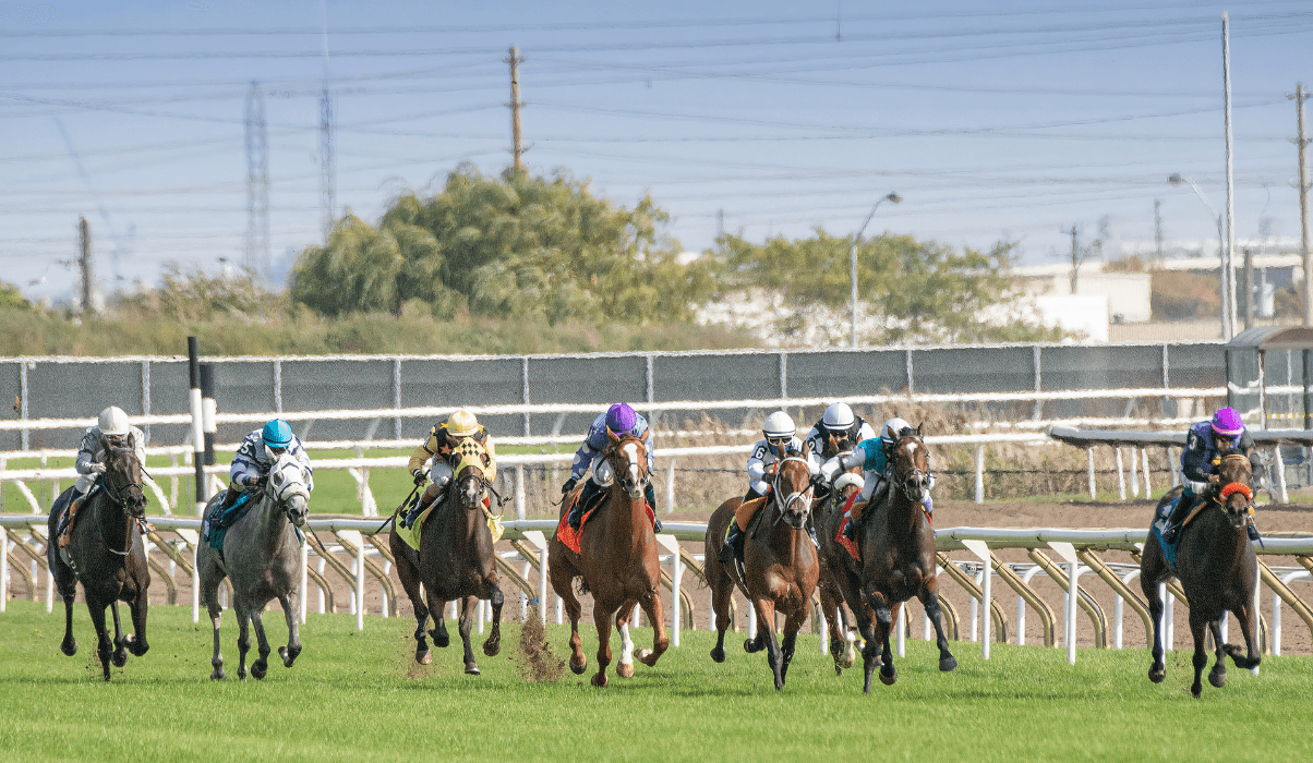 Horse Racing and the Kentucky Derby