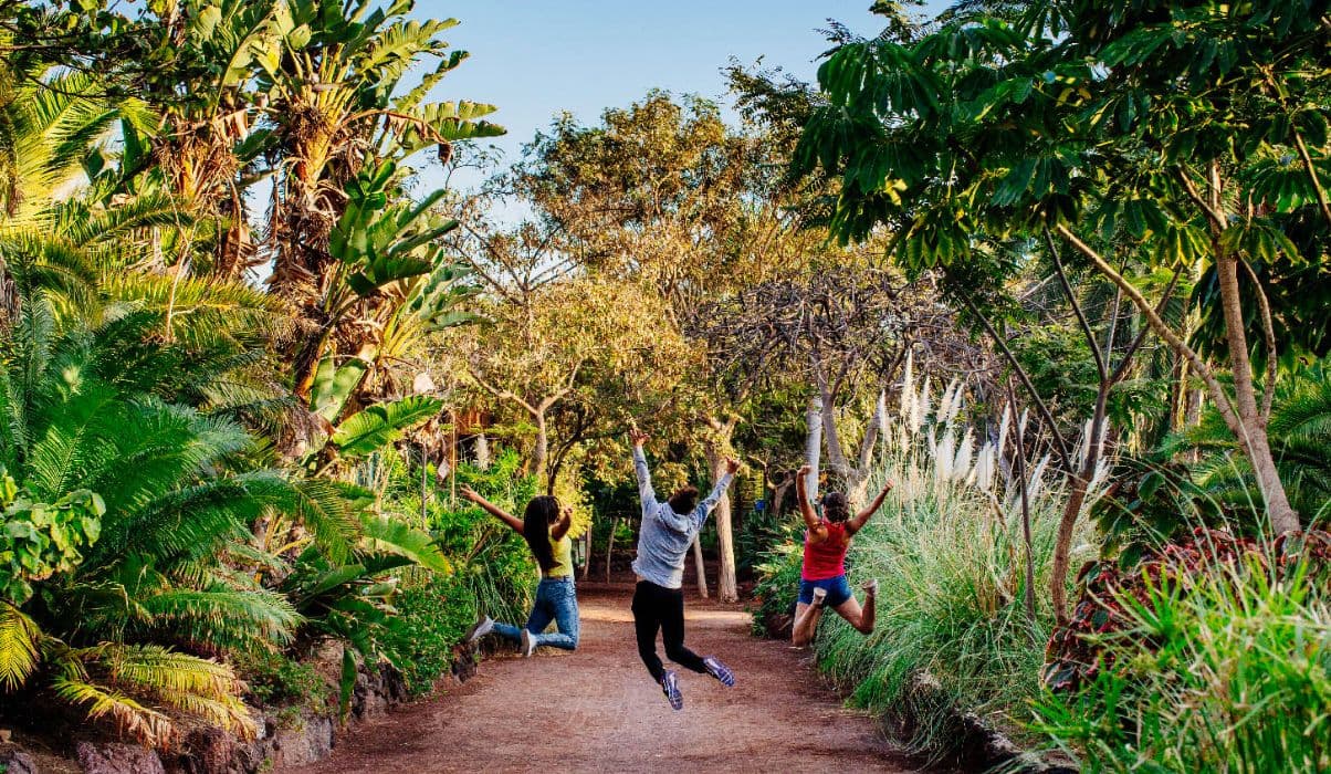 Family-Friendly Activities