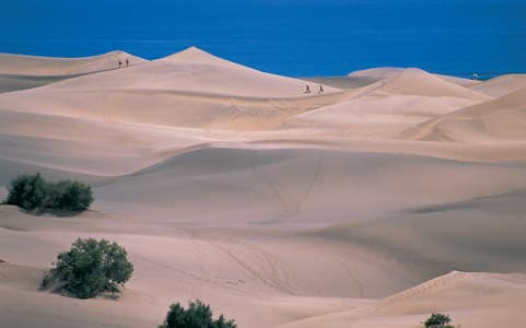 Dunas de Maspalomas