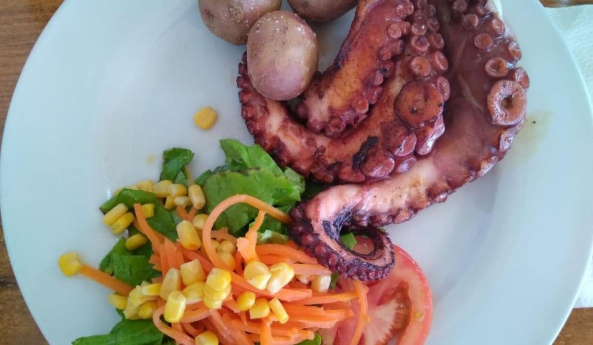 Octopus