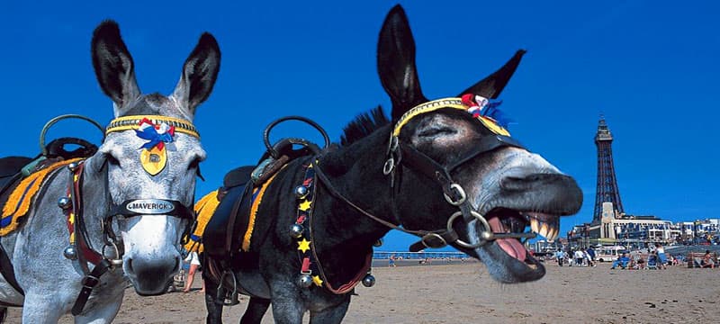 Destination Blackpool