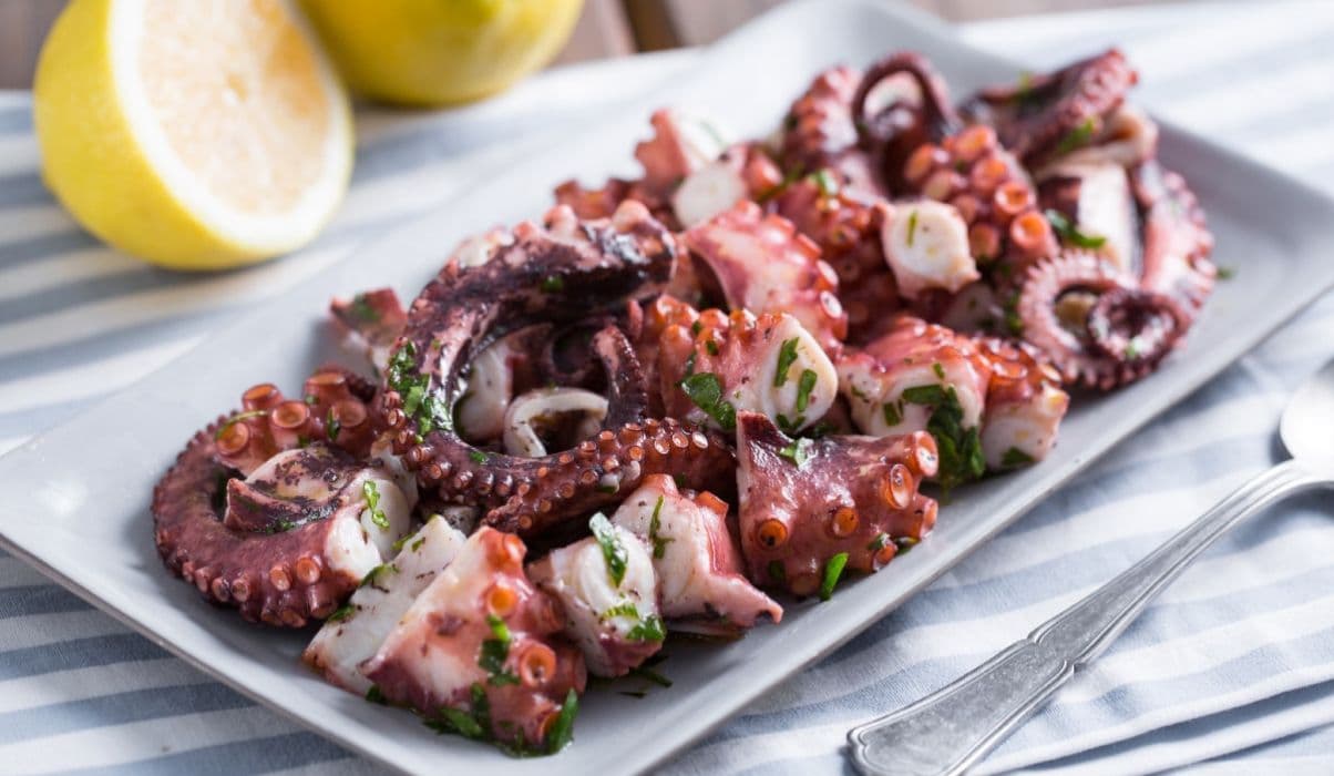 Octopus Salad (Salada de Polvo)