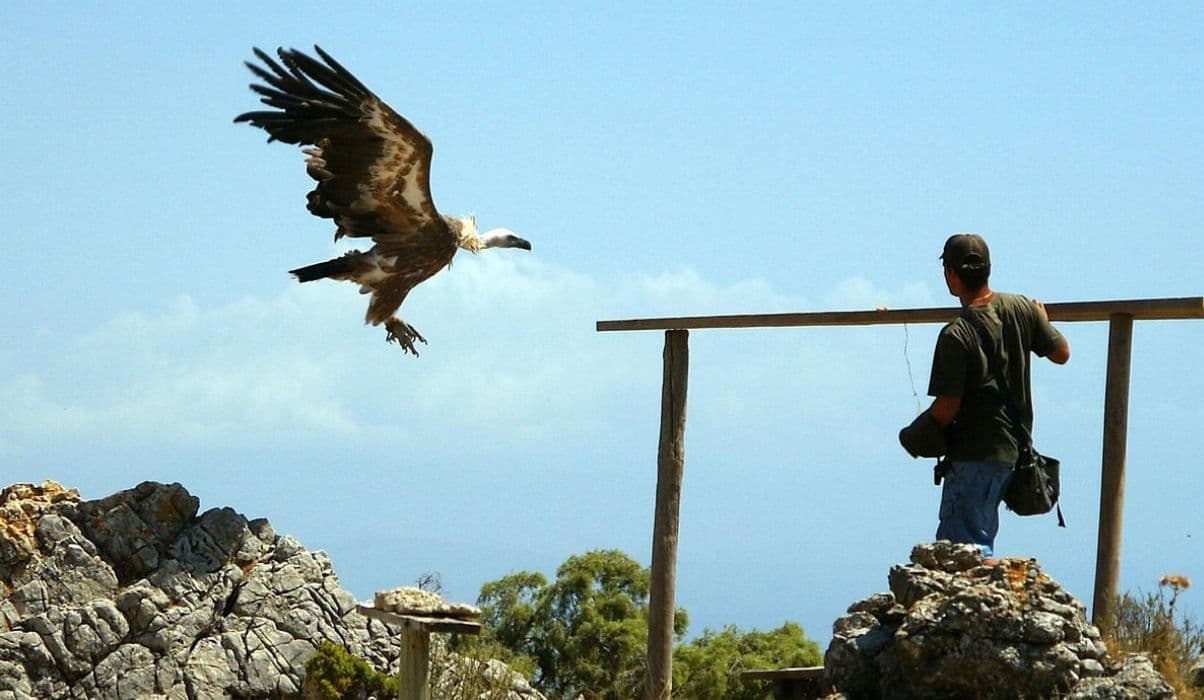 Jardin de las Aguilas