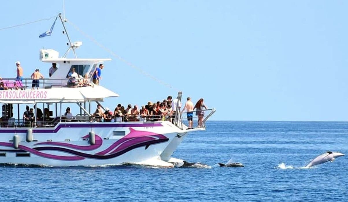 Dolphin Boat Tour