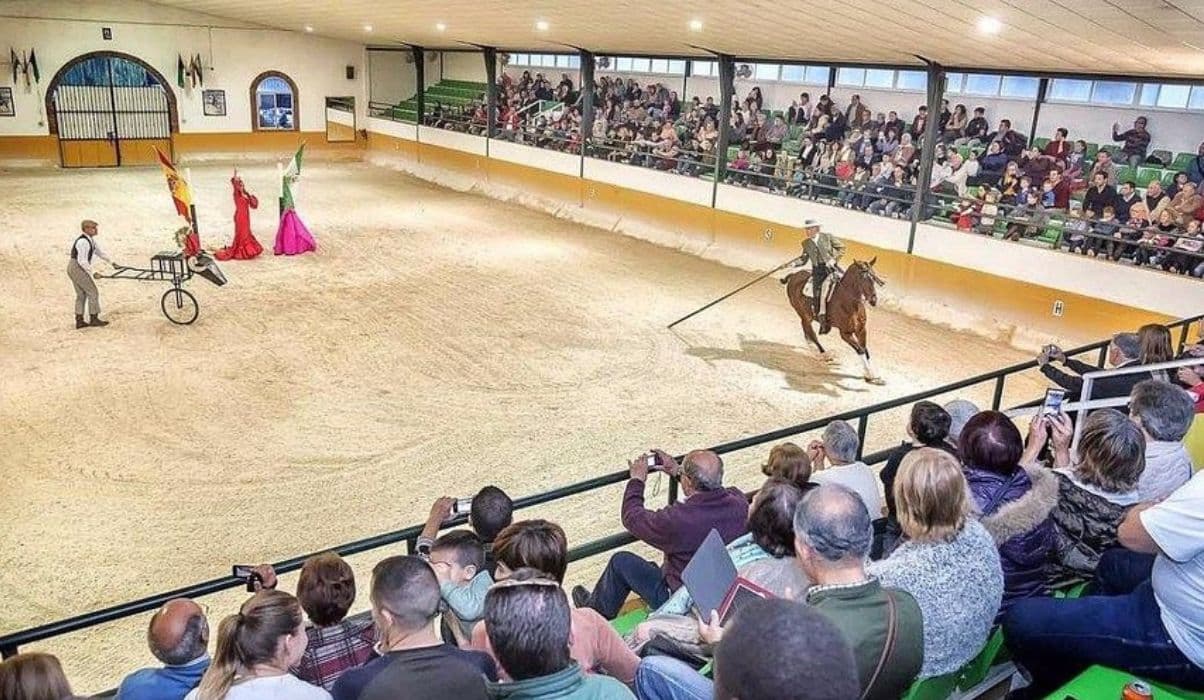 Ritmo a Caballo & Andalusian Night