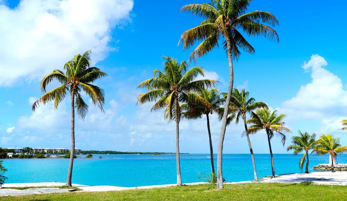 Big Pine & the Lower Keys - Nature's Playground