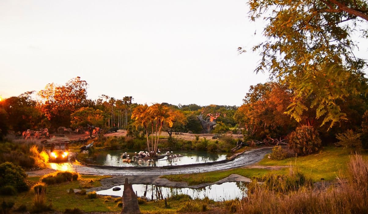 Disney's Animal Kingdom