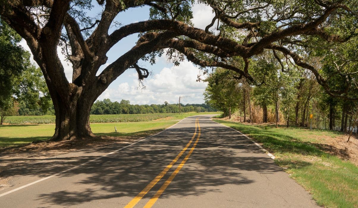 American South Explorer