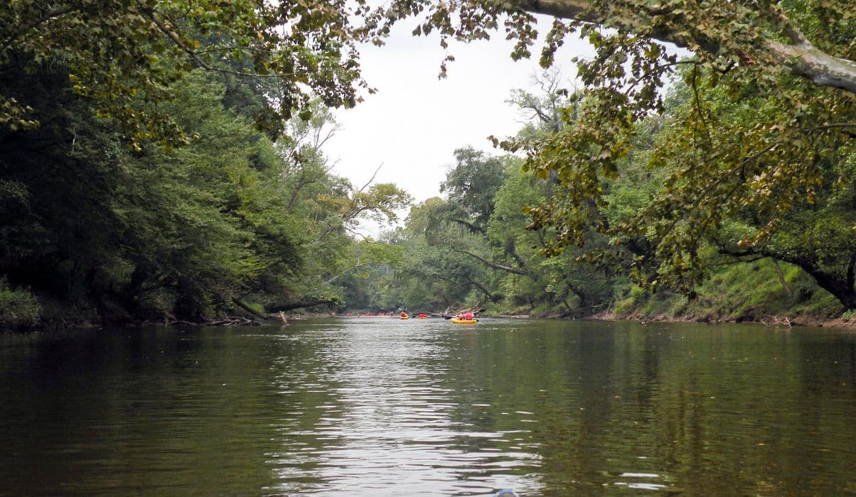 Walk the Neuse River Trail