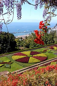 The Botanical Gardens overlooking Funchal