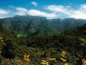 The lush landscape of Madeira