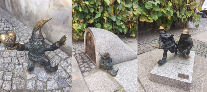 Gnomes in Wroclaw