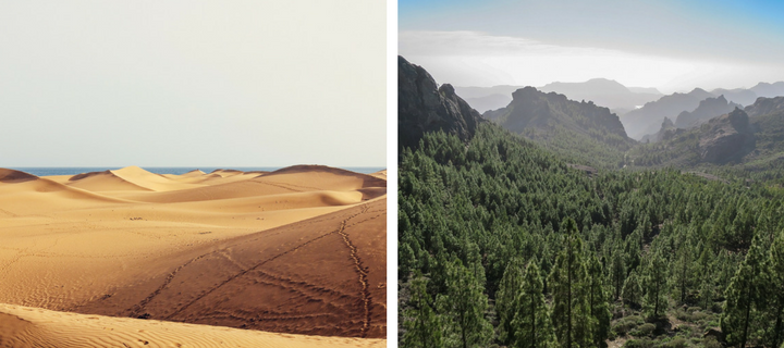 Sand dune and mountain scenery in Gran Canaria