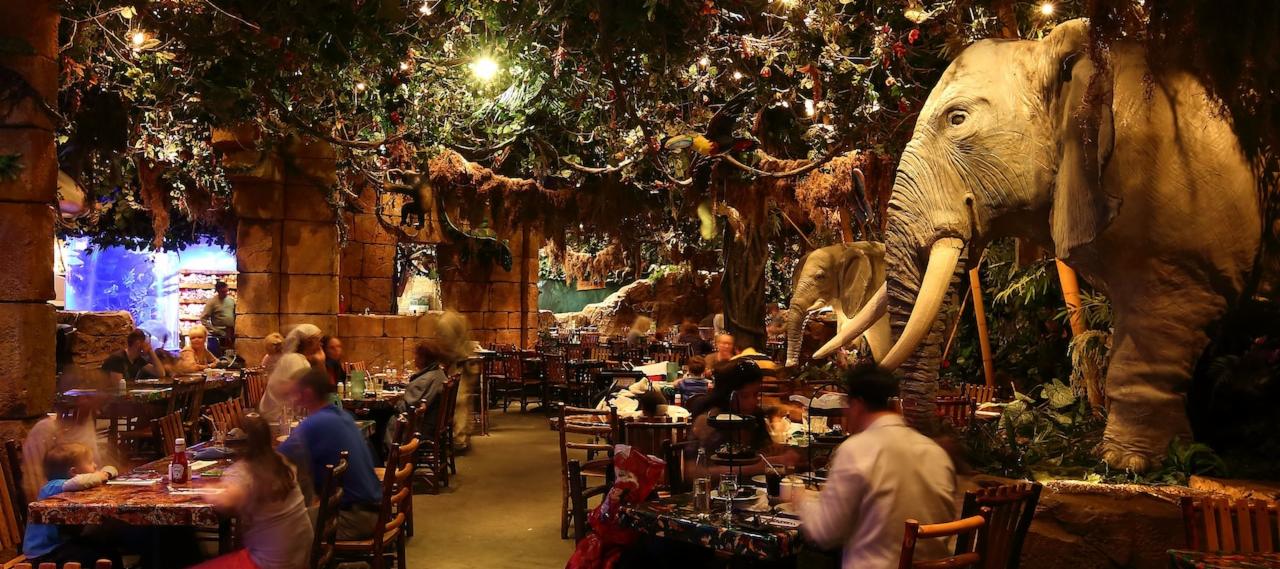 Rainforest Cafe in Disneyland Paris | Your Guide to Disneyland Paris