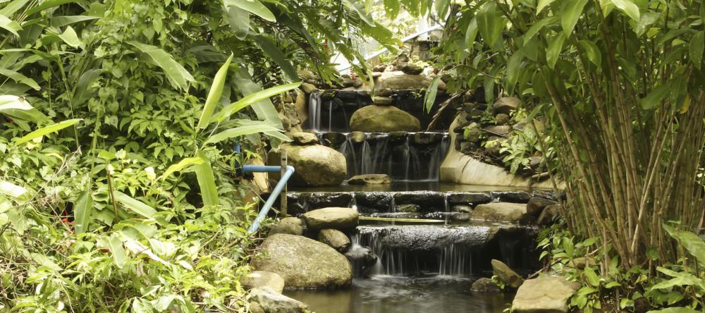 Waterfall in Khao Phra Thaeo National Park, Phuket, Thailand