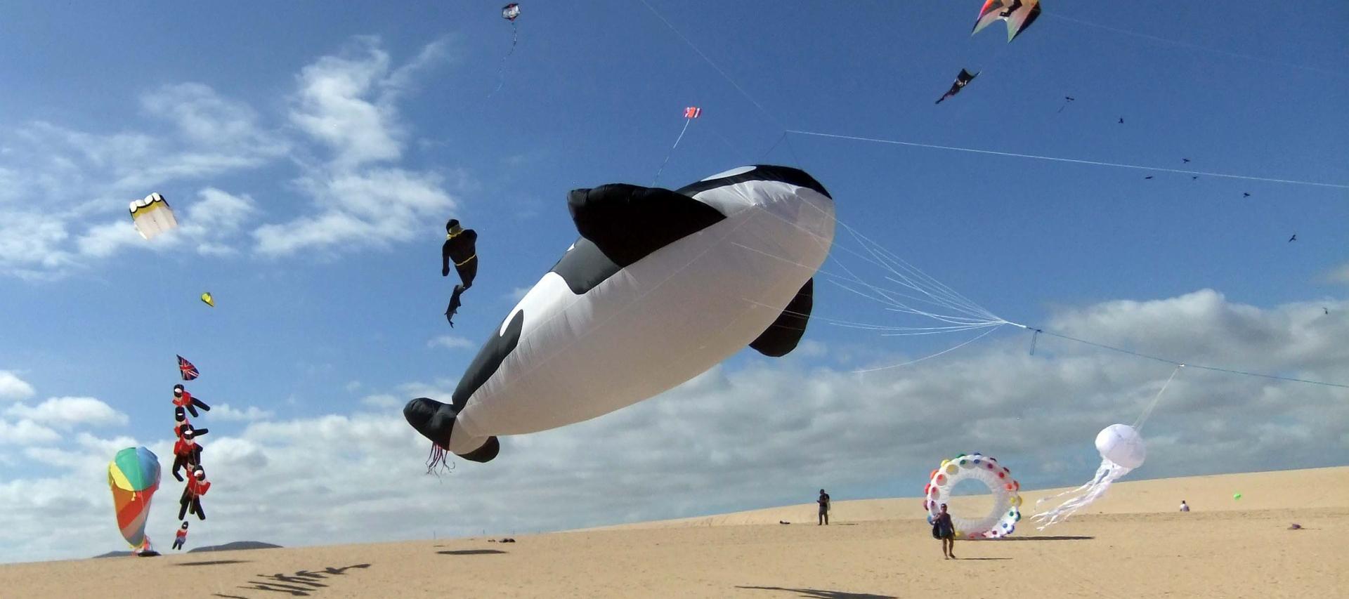 Fuerteventura Kite Festival | Your Guide to Fuerteventura