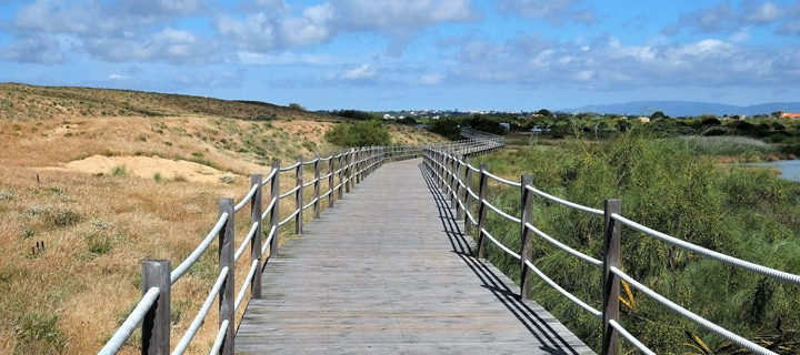 Alvor boardwalk