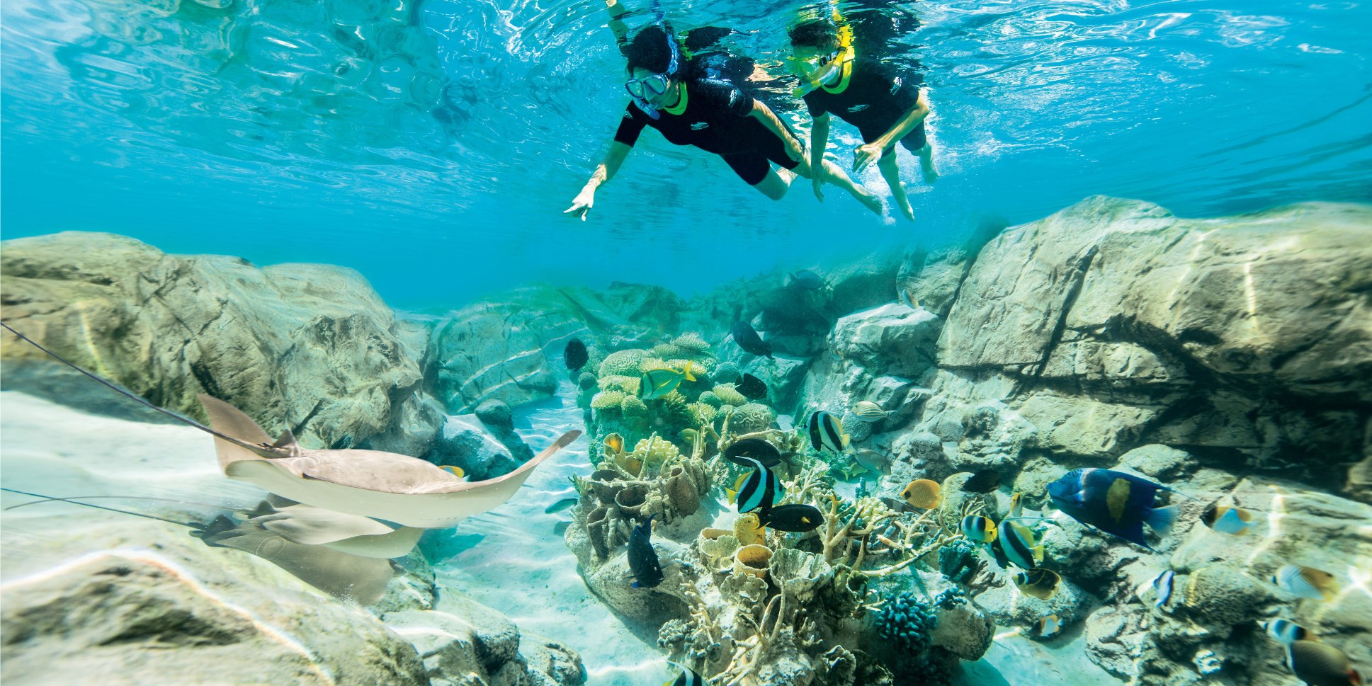 Two divers at Discovery Cove, SeaWorld Parks, Orlando