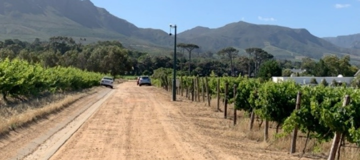 View of walking through the vineyard