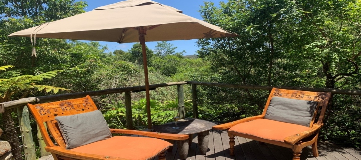 Tsala Tree Top Lodge