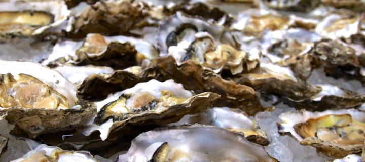 Oysters at Marche des Quais in Bordeaux