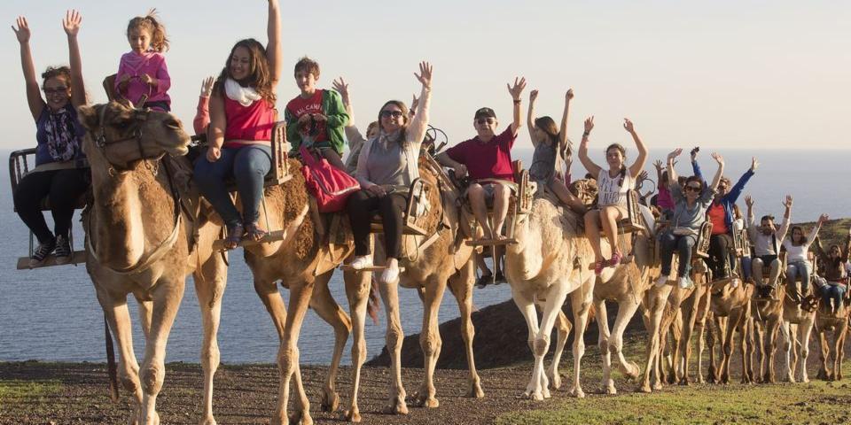 Oasis Park, Fuerteventura