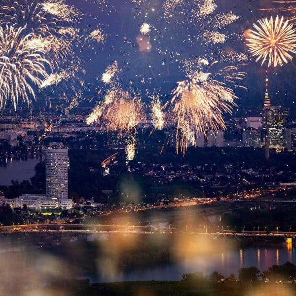 Fireworks light up the night sky over Vienna’s historic cityscape during New Year’s Eve celebrations.