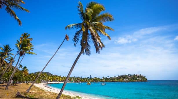 Ultimate Barbados Holiday Guide: Best Beaches 