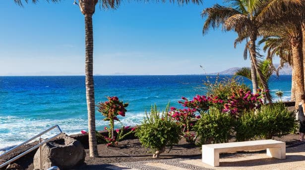 Coastal view in Lanzarote with palm trees, volcanic shoreline and turquoise Atlantic Ocean