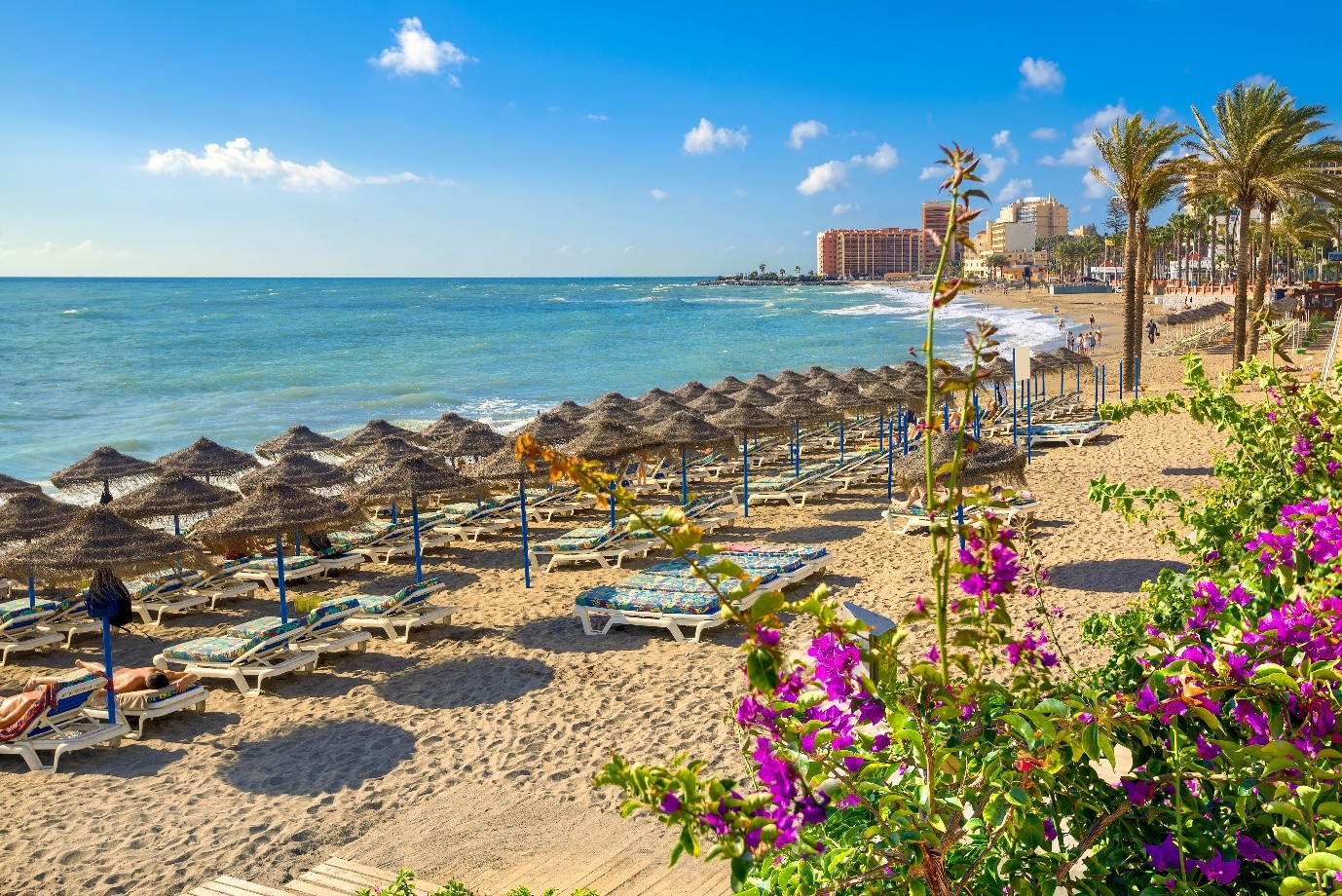 Costa del Sol beach with sun loungers, straw parasols and palm-lined promenade overlooking the Mediterranean Sea