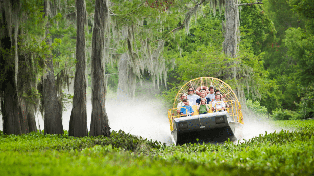 Airboat tour through Louisiana swamp with visitors spotting wildlife among cypress trees and misty wetlands
