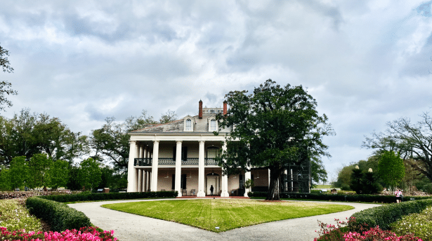 Historic Louisiana plantation house with grand columns, gardens and oak trees showcasing Southern heritage