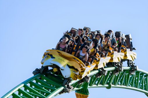 Rollercoaster train descending a track at SeaWorld Orlando, with riders aboard the Cheetah Hunt attraction against a clear blue sky.