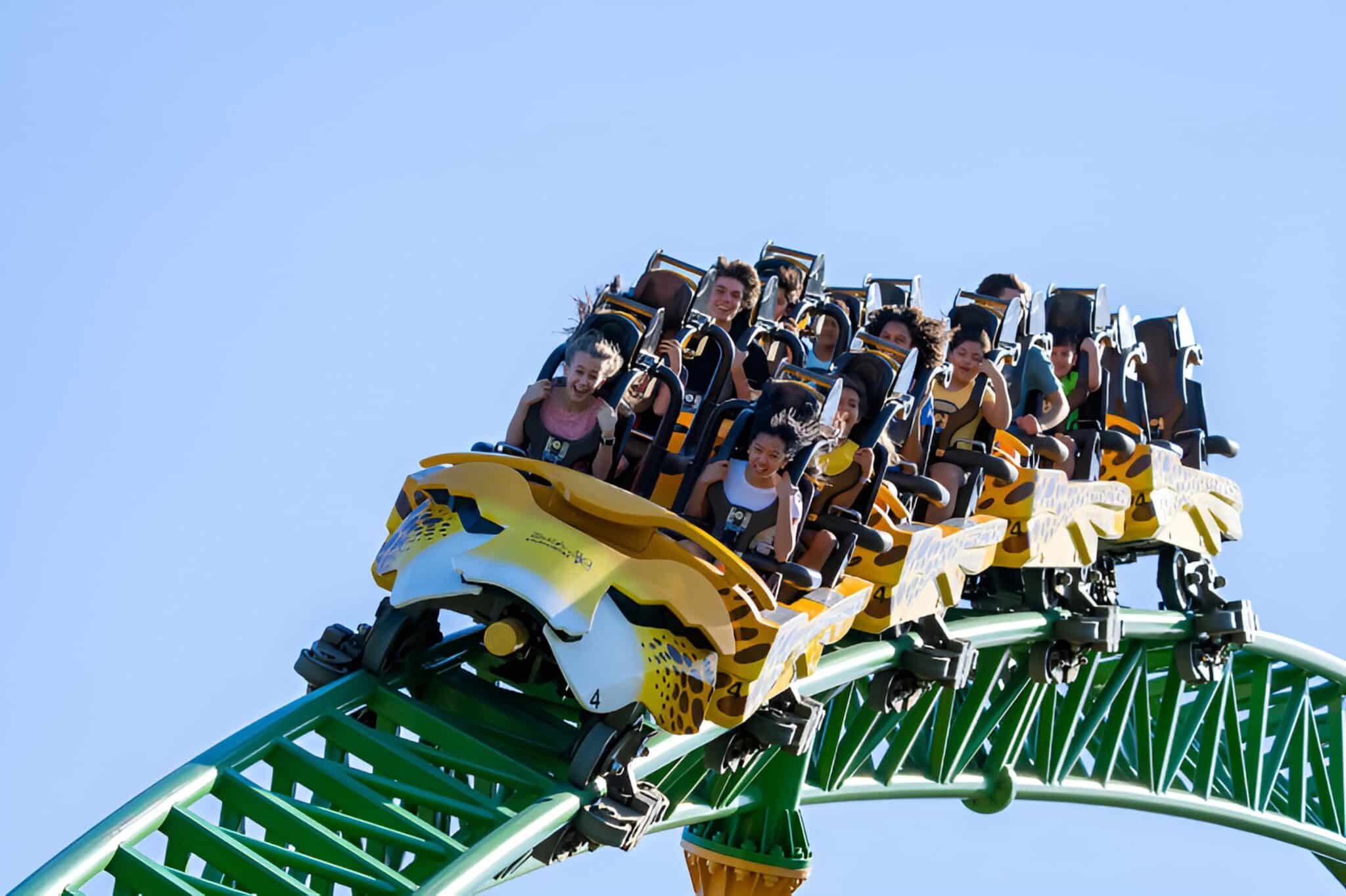Rollercoaster train descending a track at SeaWorld Orlando, with riders aboard the Cheetah Hunt attraction against a clear blue sky.