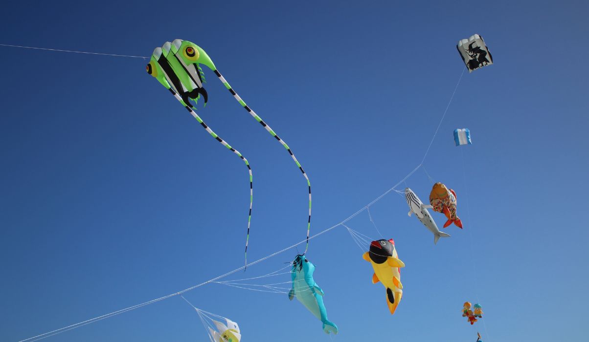Vibrant kites flying high at a kite festival in Fuerteventura, featuring unique designs against a clear blue sky.