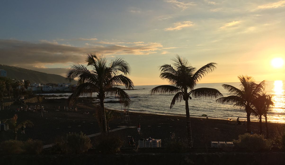 Sunset on a palm tree lined beach in Tenerife