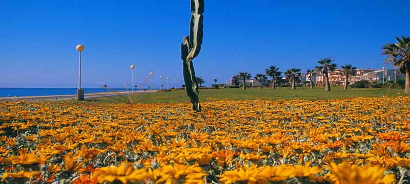 Mojacar image