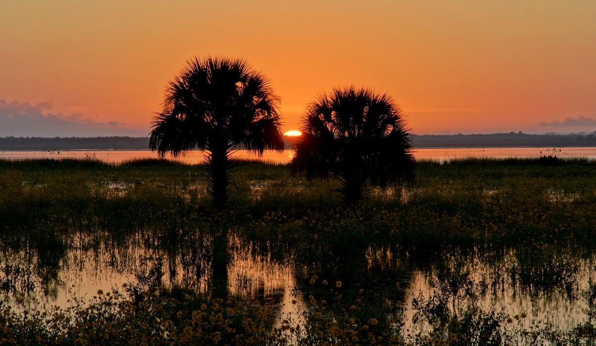Central Florida1
