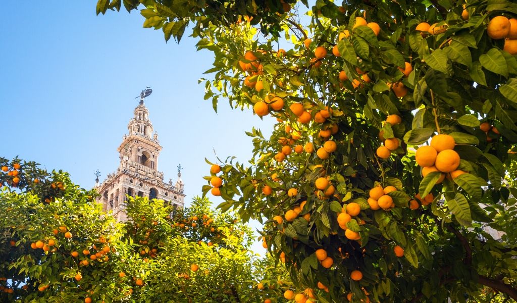 Seville0