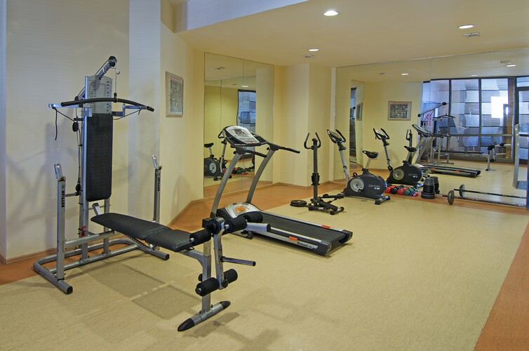 Palmin  photo 10